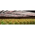 Kép 16/16 - Spider Farmer® GlowR80 mélyvörös spektrumú, 660 nm-es kiegészítő LED növekedési fény 