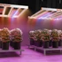 Kép 2/9 - Spider Farmer® kiegészítő, 730 nm-es IR LED-es fénysor készlet növényekhez (90 cm) 30W